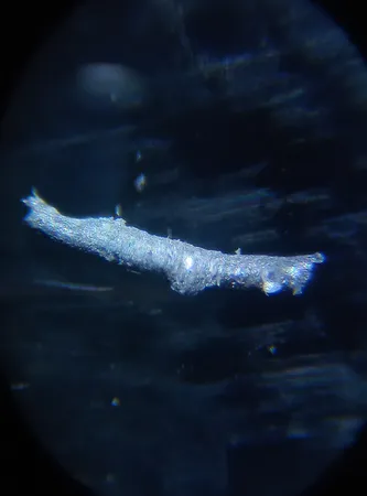 سیم برق 2 در 1 مدل NYL201