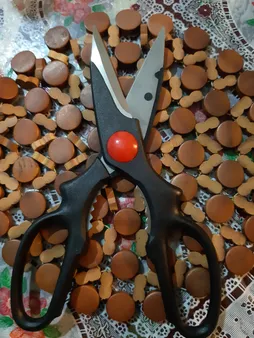 قیچی آشپزخانه کورال مدل SLN