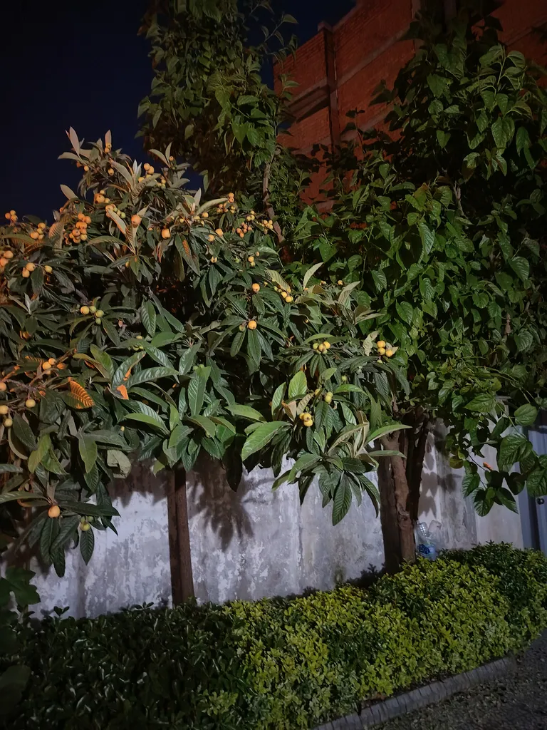 گوشی موبایل آنر مدل X9b دو سیم کارت ظرفیت 256 گیگابایت و رم 12 گیگابایت گوشی موبایل آنر مدل X9b دو سیم کارت ظرفیت 256 گیگابایت و رم 12 گیگابایت
