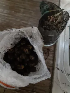 تجریه خرید زیتون شور سمیران - 670 گرم