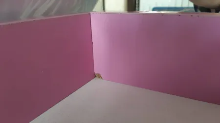 ست میز تحریر و صندلی طرح توت فرنگی