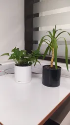 گلدان مدل استوانه ای مهر و ماه کد 801