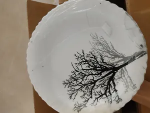 تجریه خرید سرویس غذاخوری 25 پارچه 6 نفره گلدن اوپال مدل تمپر شادو