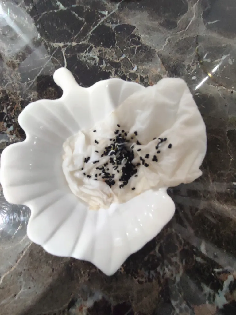 بذر پریوش سفید گیلدا کد 867