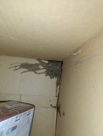 سرم مو دو فاز مارال مدل روغن آرگان حجم 250 میلی لیتر