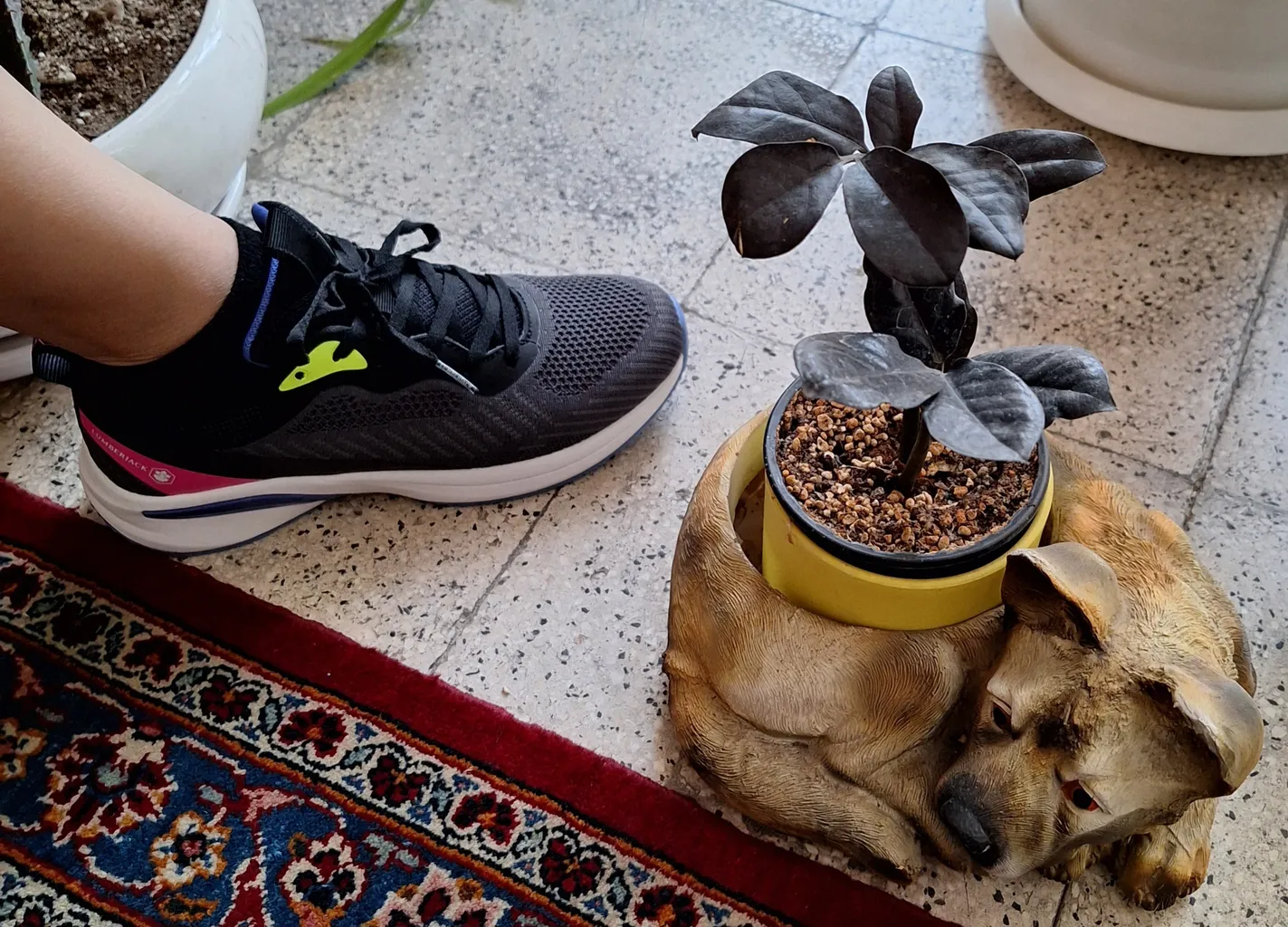 کفش راحتی زنانه لامبرجک مدل Goky WGR