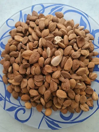 مغز هسته زردآلو نات لاین - 1000 گرم