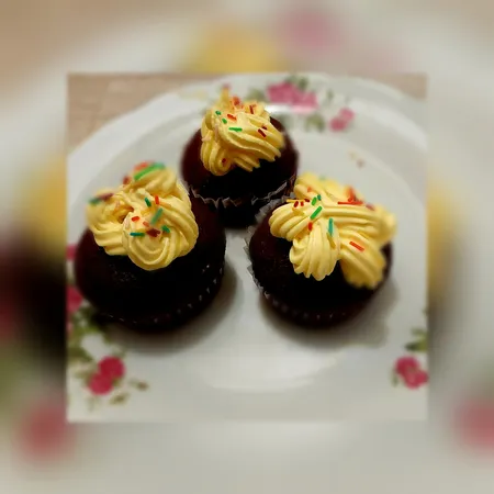 قیف خامه زن آیسینگ ست مدل 002 مجموعه 11 عددی