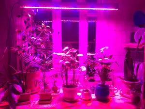 تجریه خرید وال واشر رشد گیاه 36 وات مدل W