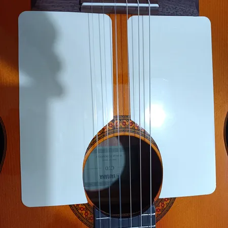 گلپیدور گیتار طرح هرکو مدل ID01