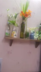 طبقه دیواری مدل gandom کد 501010