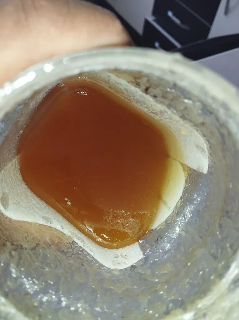 عسل بامیکا - 1500 گرم