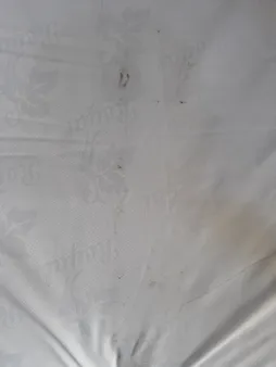 تشک مهمان طرح کلاسیک سایز 185x85 سانتی متر