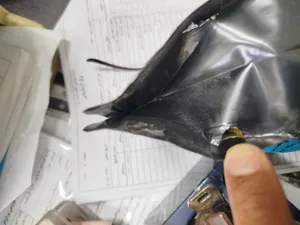 تجریه خرید غذای گرینچیک کوکو مدل پروت وزن ۱ کیلوگرم