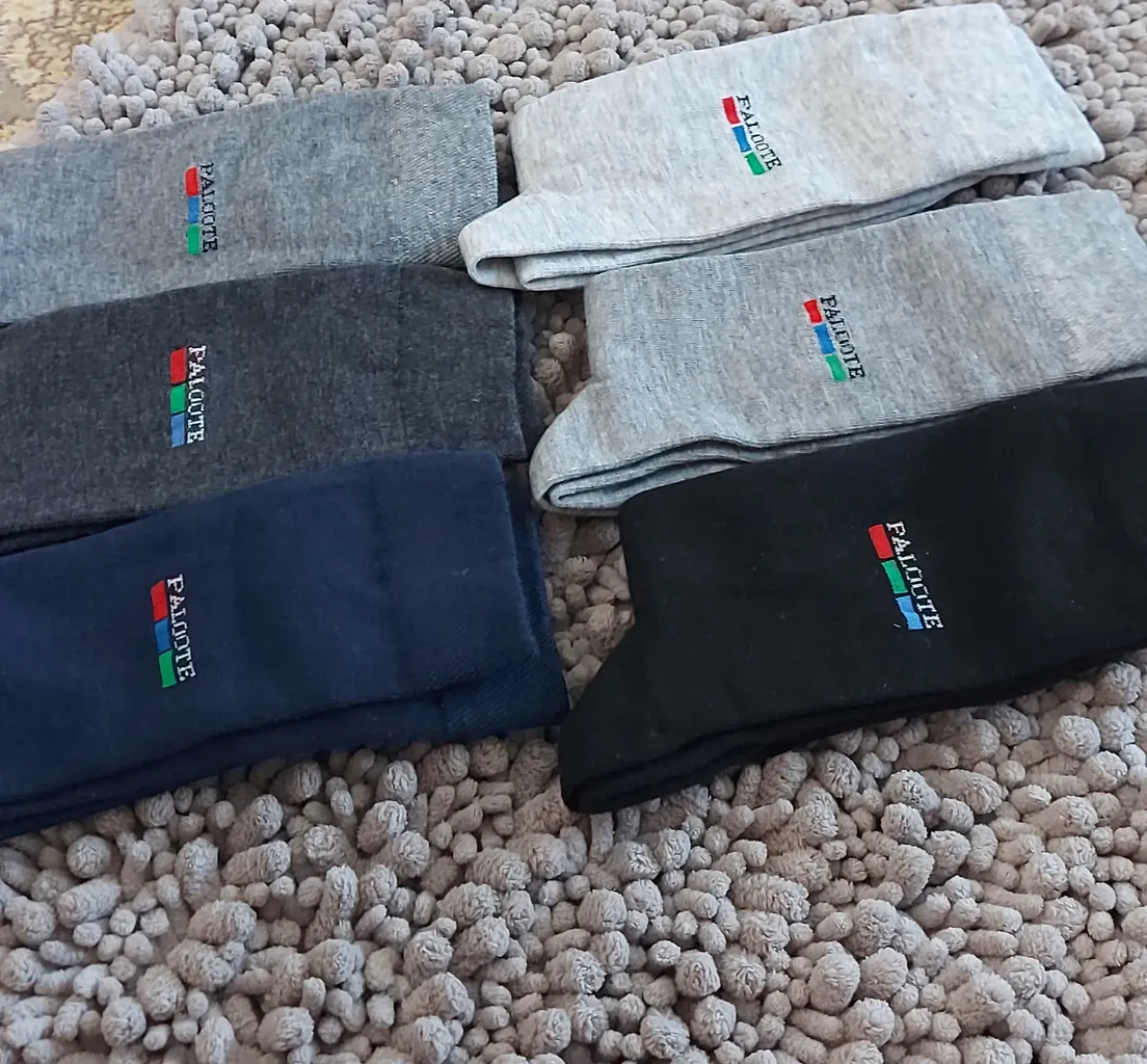 جوارب مردانه پالوته مدل COL6 بسته ۶ عددی