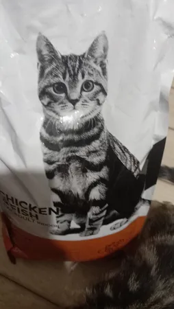 غذای گربه مفید مدل بالغ طعم ماهی و مرغ وزن 2000 گرم