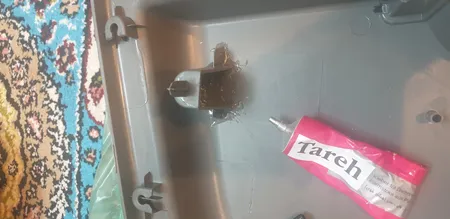 رودری روزبه کد TK06 مناسب برای پراید مجموعه چهار عددی