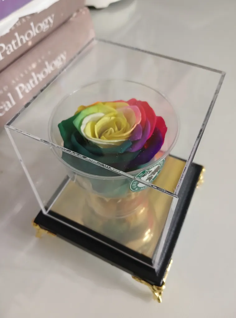 گل رز جاودان مدل 101