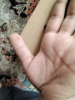 آهن ربا تکسام مدل R8415