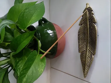 جاعودی مدل پر اکالیپتوس