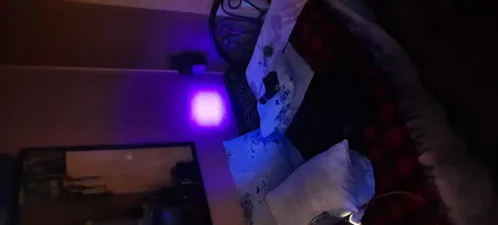 چراغ قوه دستی مدل UV filtering با نور بنفش