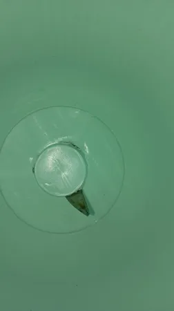 گلدان مدل آیما 15 مجموعه 6 عددی