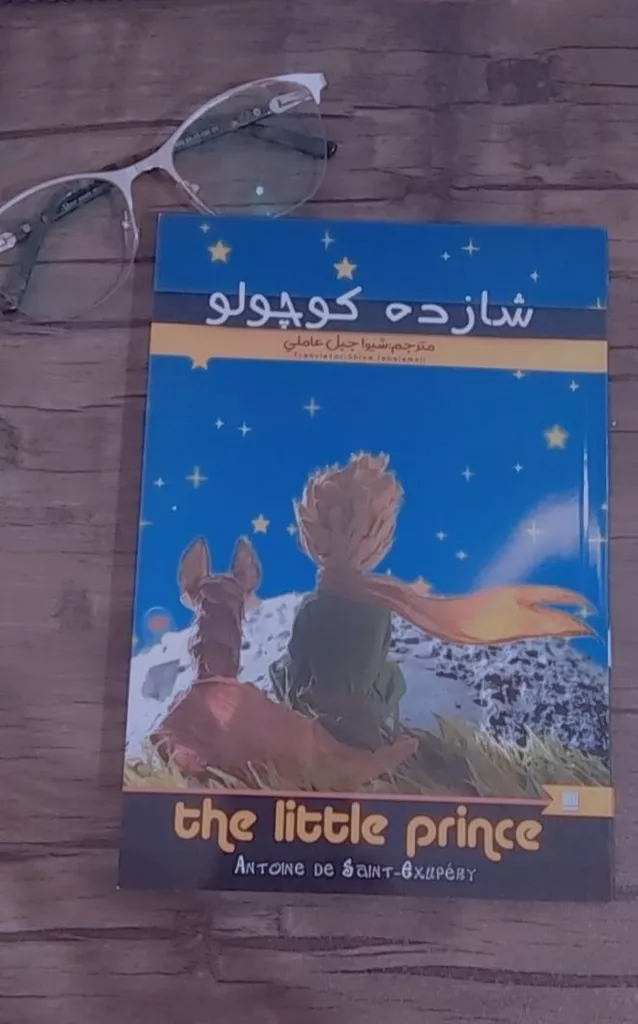 کتاب شازده کوچولو اثر آنتوان دوسنت اگزوپری انتشارات نگین ایران