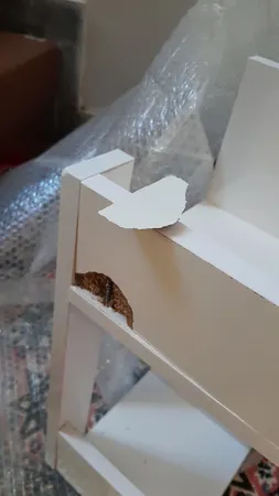 کتابخانه رومیزی مدل کاکتوس