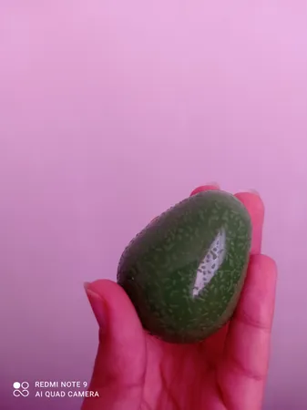 بالم لب مجیک مدل اواکادوو