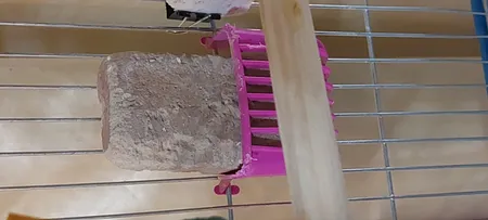 مکمل ویتامینه پرندگان مدل Z20 وزن 330 گرم