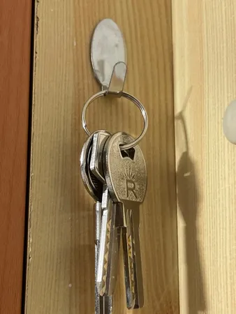 آویز حوله هوک طرح بیضی مدل 789 بسته 6 عددی