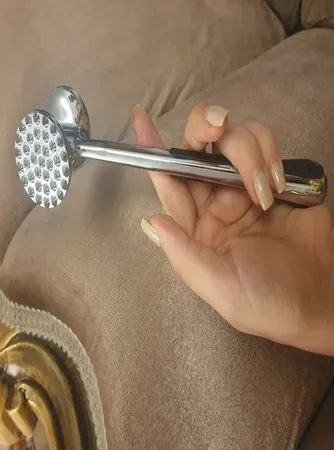 بیفتک کوب شنگیا مدل E2799A