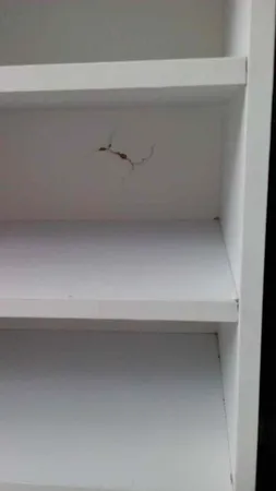 جاکفشی مدل الیت