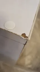 میز پاتختی صنعت و هنر چوبی کوتوک مدل پارولا