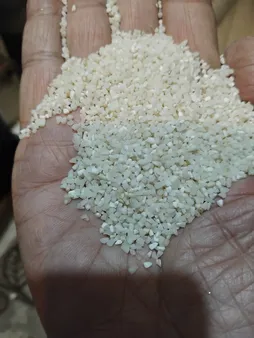 برنج شکسته هاشمی گیلان - 5 کیلوگرم