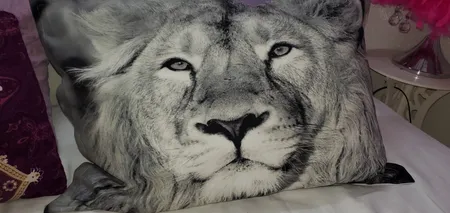 روبالشی مدل P1-20851