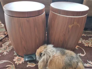 تجریه خرید ظرف برنج بهاز کالا کد 16603053 ظرفیت 10 کیلوگرم