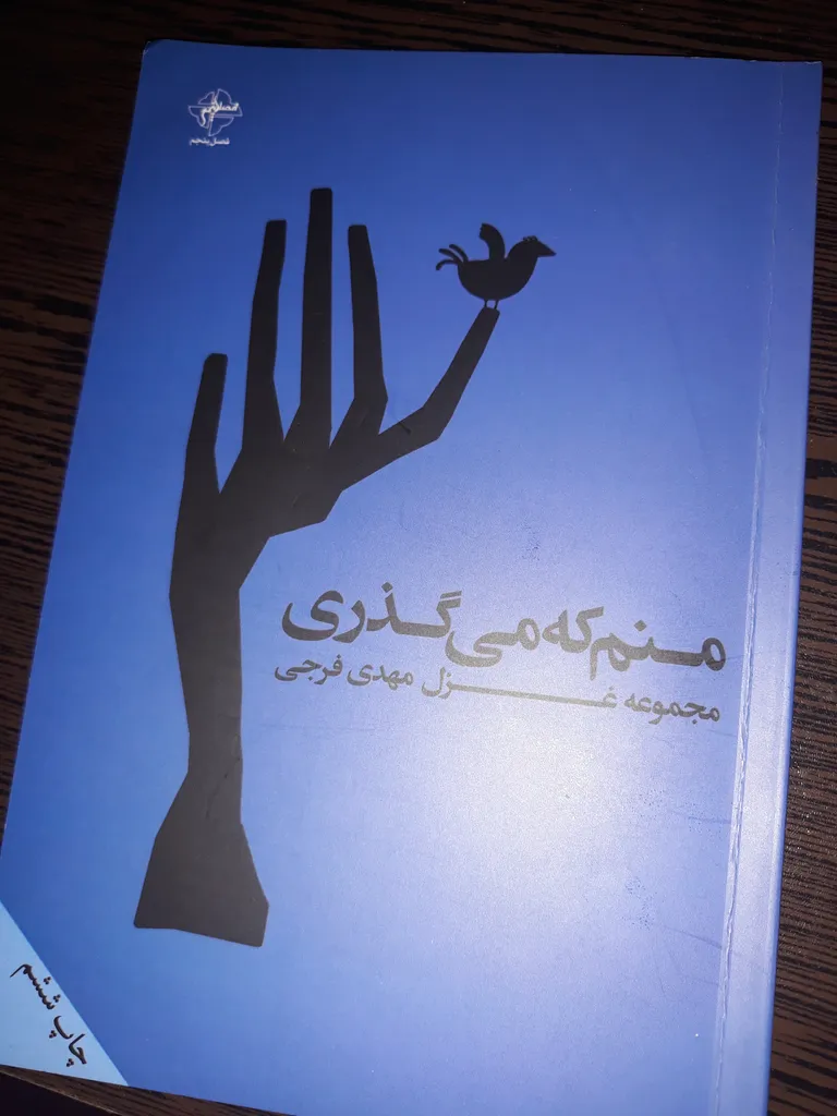 کتاب منم که می گذری اثر مهدی فرجی