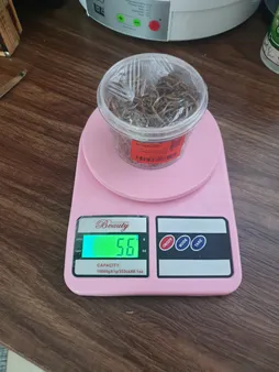 غذای تشویقی عروس هلندی ولکانو میلورم کد MWC60 وزن 60 گرم