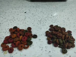 تجریه خرید غذای خشک رفلکس مدل مولتی کالر مخصوص گربه بالغ فله وزن 1 کیلوگرم