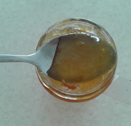 مربا زنجبیل تازه شانا - 305 گرم