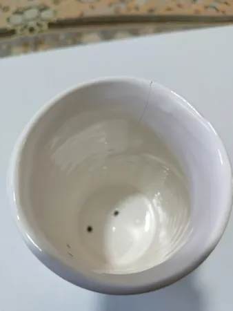 جاقاشقی مدل FLowers