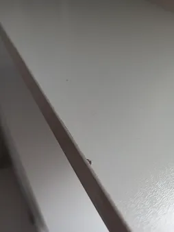 میز تحریر مدل ارغوان کد 1002