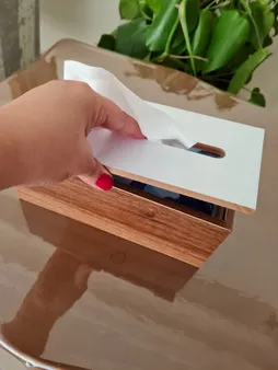 جعبه دستمال کاغذی رایکا مدل 2014