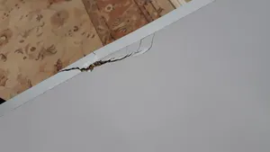 تجریه خرید میز کامپیوتر مدل الیت