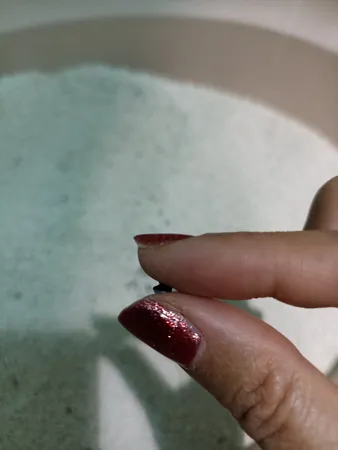 خاک بستر گربه تهران کت مدل گرانول وزن 10 کیلوگرم