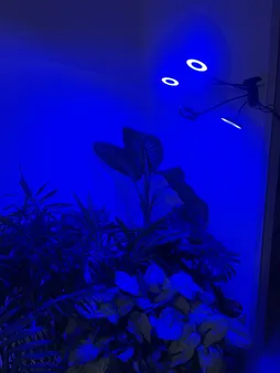 چراغ رشد گیاه 40 وات مدل Quad Circle