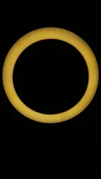 رینگ لایت مدل ZT-260