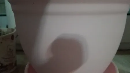 گلدان مدل 3015