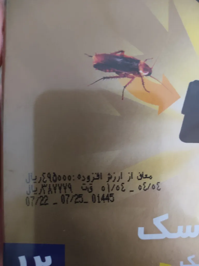 طعمه سوسک تارومار مدل T24 2 بسته 12 عددی